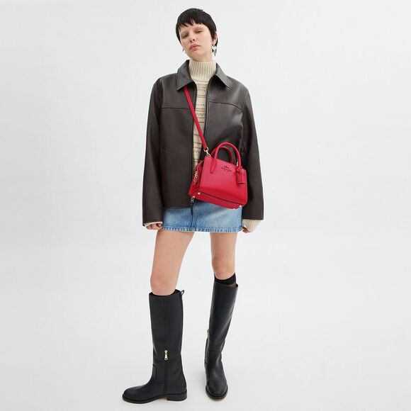 NWT Coach Outlet Andrea Carryall Bag - Picture 5 of 7